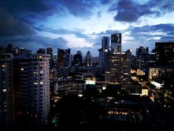 The Scotts Tower (D9), Condominium #503939961